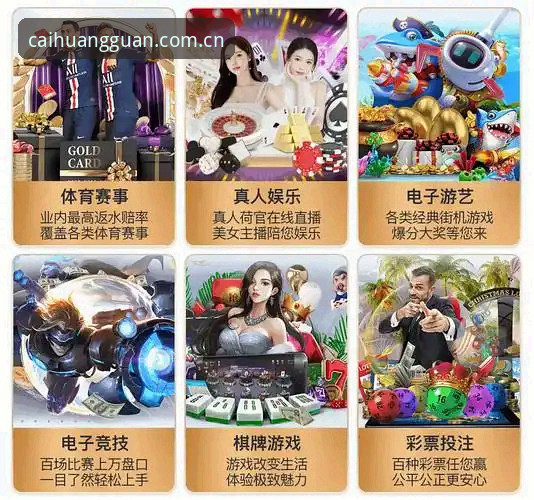 电脑版还是APP？皇冠体彩网站入口官方入口的真实差距，老玩家一次说透